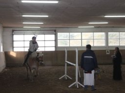 IMG_8338